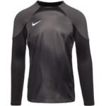 Nike Gardien IV Goalkeeper 4
