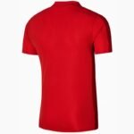 Nike Polo Academy 23 M DR1346-657 - Image 3