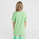 ONeill Jack Muir T-Shirt 4