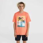 ONeill Jack Neon T-Shirt M 92800613602