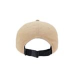 Palladium Signature WR Cap 3