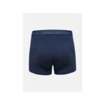 Peak Performance M Magic Boxer Thermal Boxers Navy Blue - Image 4