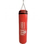 Masters Plawil Punching Bag