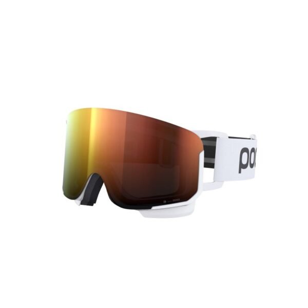 POC Nexal Ski Goggles