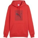 Puma Ess Logo Lab Hoodie FL M 684669 15