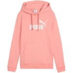 Puma ESS No. 1 Logo Hoodie W 682391 18