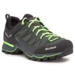 Salewa Ms Mtn Trainer Lite GTX M 61361-5945 shoes
