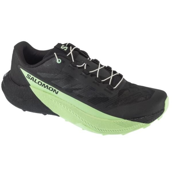 Salomon Pulsar L47887800 Black 41 1/3