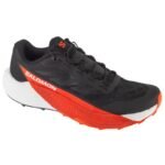 Salomon Pulsar L47975400 Black 41 1/3