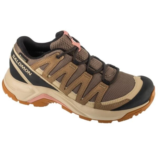 Salomon X-Adventure Recon GTX W L47815500 Gray 40