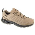 Salomon XA Pro 3D v9 GTX L47882000 Gray 40 2/3