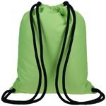4F Shoe Bag 4FJWAW23AGYMM055 2
