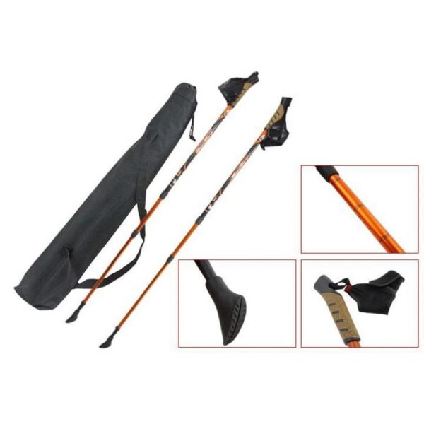 Inny SM3-B12/C3 Trekking Pole