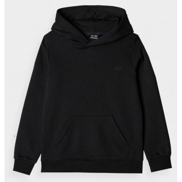 4F Jr 4FJWMM00TSWSM1860 20S sweatshirt