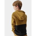 4F Jr sweatshirt 4FJAW23TSWSM628-74S - Image 4