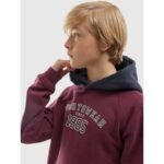 4F Jr sweatshirt 4FJAW23TSWSM651-60S - Image 6