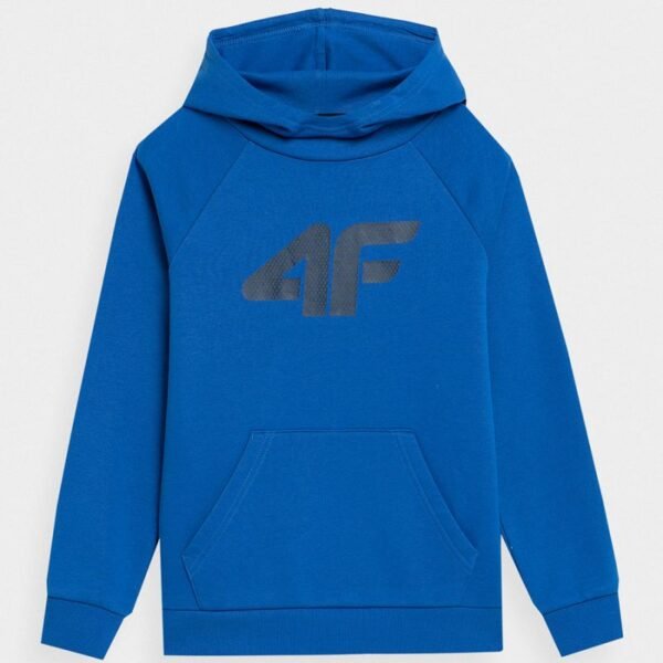 4F Jr sweatshirt 4FJSS23TSWSM220 36S