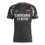 Adidas Arsenal London Away T-shirt M IT6148