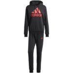 adidas Big Logo Terry Track Suit M IP5553 - Image 2
