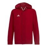 Adidas Entrada 22 All-weather Jr HG6300 jacket