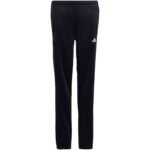 adidas Essentials Big Logo Track Suit Jr HR6408 - Image 4