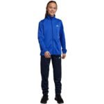 adidas Essentials Big Logo Track Suit Jr HR6408 - Image 5