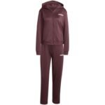 adidas Essentials Linear W tracksuit JD2698