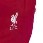 adidas Liverpool FC Backpack JZ5881 - Image 4