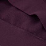 Champion Hooded Sweatshirt W 117529 VS503 - Image 5