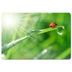 Esperanza Photo Mix Mouse Pad EA133 - Image 3