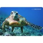 Esperanza Photo Mix Mouse Pad EA133 - Image 7