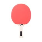 GIANT Rocket - Image 4