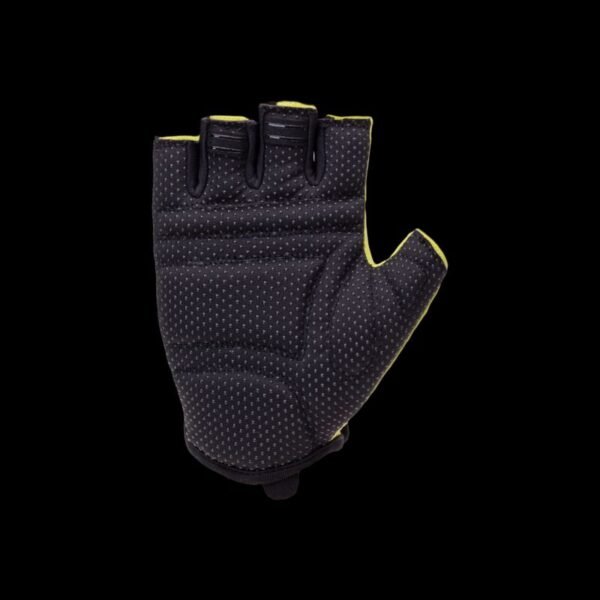 GRIPSE gloves