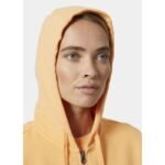 Helly Hansen W HH Logo Full Zip Hoodie 2.0 W 34461 316 - Image 3