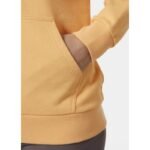 Helly Hansen W HH Logo Full Zip Hoodie 2.0 W 34461 316 - Image 8
