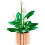 LEGO Botanical 11504 Spathiphyllum in a Pot - Image 3