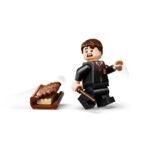 LEGO HARRY POTTER 76449 CHOMPING MONSTER BOOK OF MONSTERS - Image 6