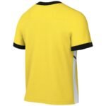Nike Academy 25 SS Top M FZ9754 719 - Image 2