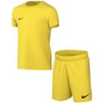 Nike DRY Park Kit Set for kids yellow CD2244 719