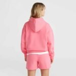 ONeill Future Surf Society Hoodie W 92800613440 - Image 7