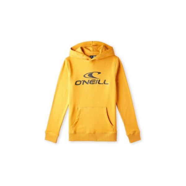 ONeill Logo Hoodie Jr 92800615006