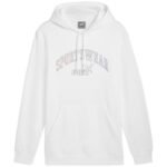 Puma Ess+ Logo LAB Gradient Hoodie FL M 681775 02 - Image 2