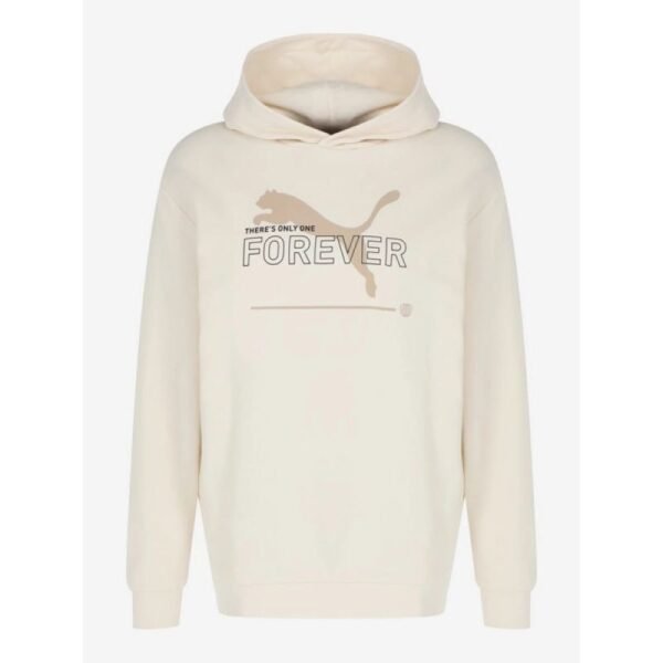 Puma FD Ess Btr M sweatshirt 673293 99