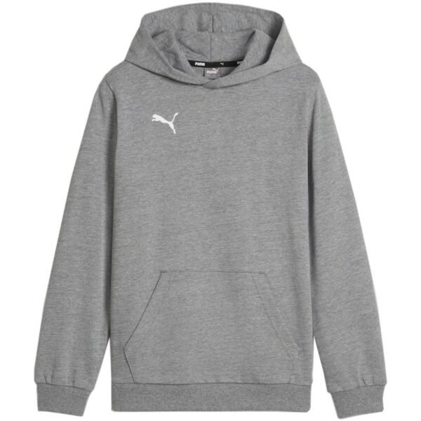 Puma Team Goal Casuals