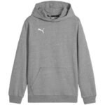 Puma Team Goal Casuals 3