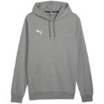 Puma Team Goal Casuals Hoody M 658618 33