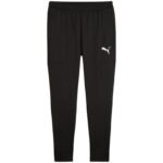 Puma Team Goal Slim Training Pants M 659037 03