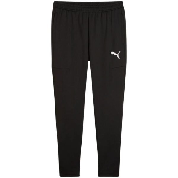 Puma Team Goal Slim Training Pants M 659037 03