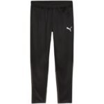 Puma Team Goal Training
