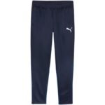 Puma Team Goal Training